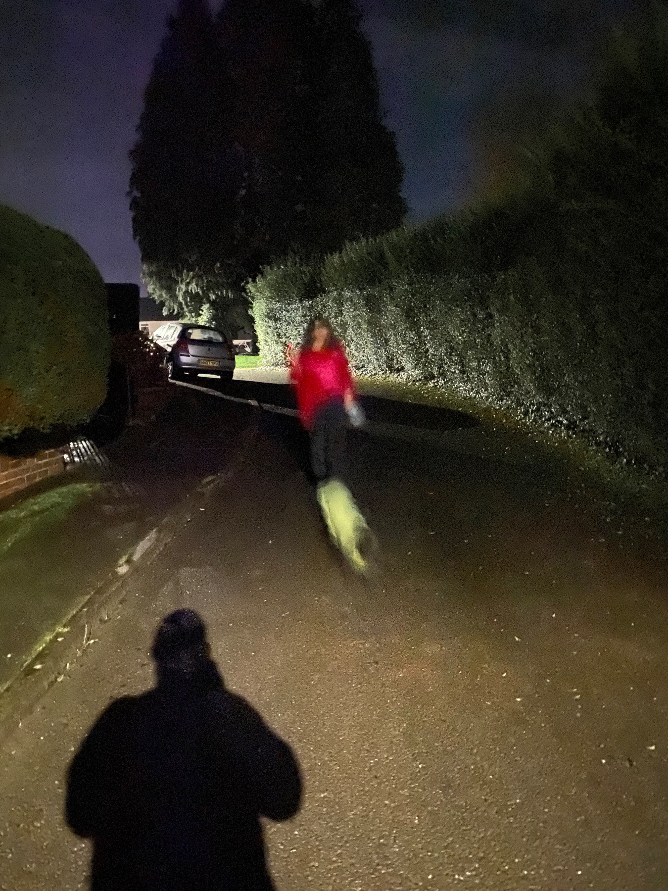 Blurry nighttime street view with woman walking a dog